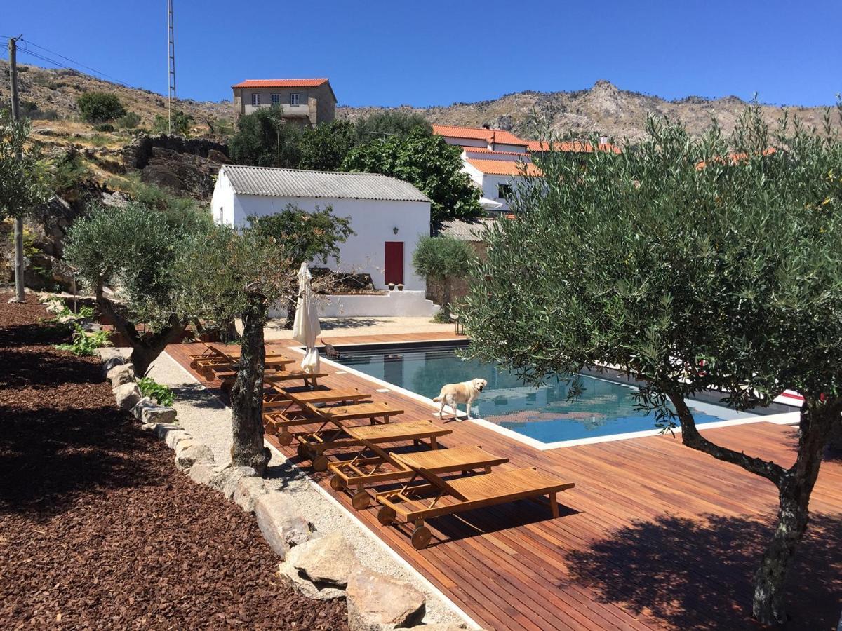 Pedra Nova Guest House Castelo Novo Exterior photo
